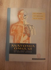 Anatomia omului. Manual pentru scolile de asistente medicale - V. Ranga foto
