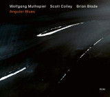Angular Blues - Vinyl | Wolfgang Muthspiel