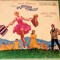 DISC VINIL &ndash; RCA VICTOR&nbsp; LP. AN&nbsp; 1965 THE SOUND OF MUSIC JULIE ANDREWS