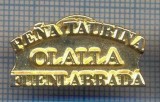 AX 1098 INSIGNA -PENA TAURINA-FUENLABRADA-SPANIA -LUPTE-PENTRU COLECTIONARI