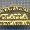 AX 1098 INSIGNA -PENA TAURINA-FUENLABRADA-SPANIA -LUPTE-PENTRU COLECTIONARI