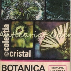 Botanica Distractiva - Tudor Opris