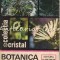 Botanica Distractiva - Tudor Opris