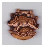 Insigna vanatoare Romania mistret, stare foarte buna