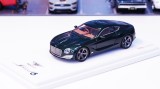 Bentley EXP 10 Speed 6 - True Scale Miniatures (TSM) 1:43