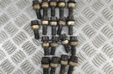 Set prezoane roata PORSCHE PANAMERA 970 2012 OEM: 99736120301 31397377