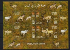 OMAN 2000 FAUNA CAPRE ORYX foto