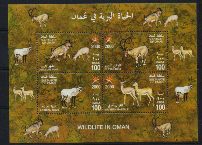 OMAN 2000 FAUNA CAPRE ORYX