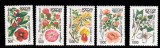A10 S1 7 - Timbre foarte vechi - Rusia - flori - 1997