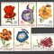 Romania.1971 Flori din Gradini Botanice YR.518