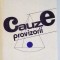 CAUZE PROVIZORII de ROMULUS RUSAN , 1983