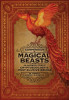 The Compendium of Magical Beasts: An Anatomical Study of Cryptozoology&#039;s Most Elusive Beings