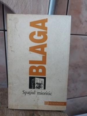 Lucian Blaga - Spatiul Mioritic foto