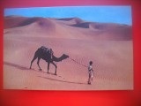 HOPCT 5215 BAIAT CU CAMILA IN DESERT -INDIA -ASIA-NECIRCULATA