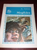 MOGILDEA AL. VLAHUTA