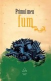 Cumpara ieftin Primul meu fum/Andra Matzal (coord.)