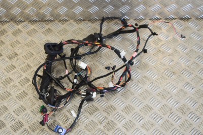 Cablaj ușă dreapta față TESLA MODEL 3 2018 OEM: 1067963-00-D 11255659 foto