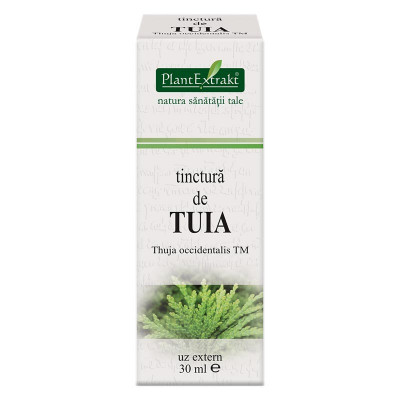 Tinctura tuia tm 30ml foto