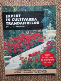 Expert in cultivarea trandafirilor - Dr. D. G. Hessayon