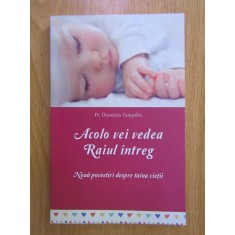 Dionisios Tampakis - Acolo vei vedea Raiul intreg. Noua povestiri despre...