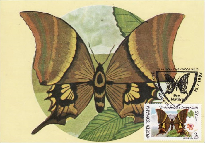 C3957 - Romania 1991 fluturi carte maxima
