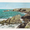 FA35-Carte Postala- FRANTA -Bretagne, Quiberon (Morbihan), necirculata