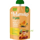 Piure de Dovleac si Coacaze 4+ Luni Ecologic/Bio 100g