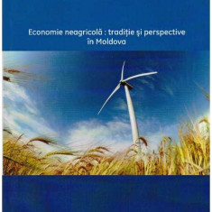 Daniela Matei - Economie neagricola - traditie si perspective in Moldova - 127823