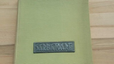 Sarbatoare- Vigh Istvan foto