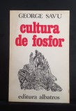 Pasaj de pietoni - DORIN TUDORAN