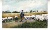 D11 A 13 - Felicitare de colectie - circulata la 1905 - Frankfurt, Germania, Printata