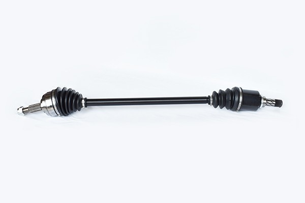 Planetara Dr. 540147 55274