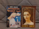 NECUNOSCUTA DE LA WILDFELL HALL/AGNES GREY-ANNE BRONTE