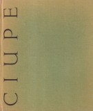 Raol Sorban - Aurel Ciupe