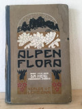 Gustav Hegi - Alpenflora