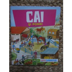 CAI SI PONEI MINI CUNOASTERE