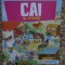 CAI SI PONEI MINI CUNOASTERE