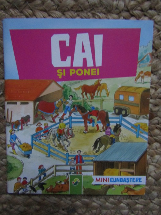 CAI SI PONEI MINI CUNOASTERE