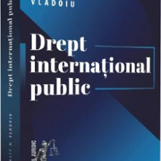 Drept international public - Nasty M. Vladoiu