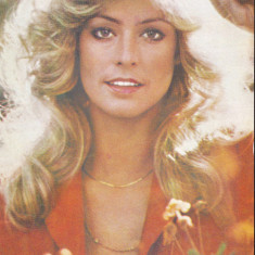 AS 27 - ARTISTI - ACTORI STRAINI - IMAGINE FARRAN FAWCETT MAJORS