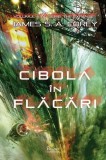 Cibola &icirc;n flăcări (Vol. 4) - Hardcover - James Corey - Paladin, 2022