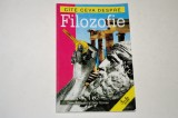 Cate ceva despre filozofie - Dave Robinson - Judy Groves