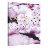 Tablou Canvas, Tablofy, Cherry Blossom Spring, Printat Digital, 70 &times; 100 cm