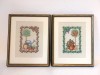 Lot 2 tablouri cusatura pe etamina tematica gradina / gradinarit, in rama de lemn, sub sticla anti-relfex, passpartout alb, 22x27cm