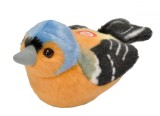 Pasare cu sunet Cinteza - CHAFFINCH, Wild Republic