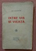 Intre vis si viata - Delavrancea, Editura Socec, 1928. Carte veche, 210 pagini. Bibliofilie