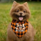 Bandana pentru c&acirc;ini cu model carouri portocalii și negre, Halloween, 46x23 cm, CMCLASS