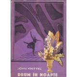 Drum in noapte - Kristin Hannah