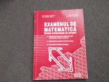 Nitescu Theodor, Candea Elena, Iancu Irina - Examenul de matematica, intre strategie si efort