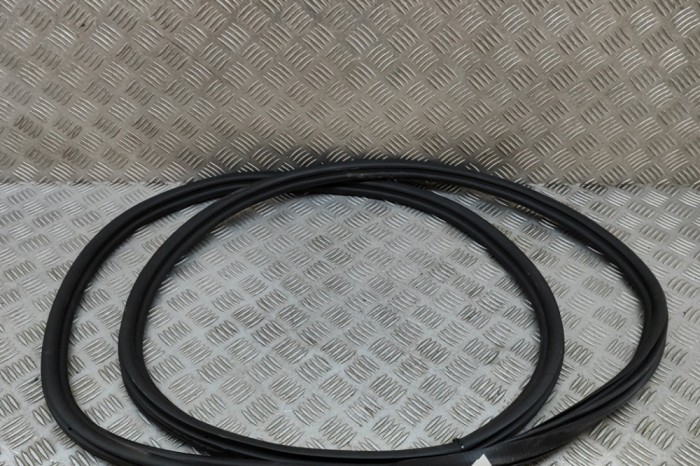 Garnitura ușă st&acirc;nga spate BMW X7 G07 2022 OEM: 7431142 | 24982487